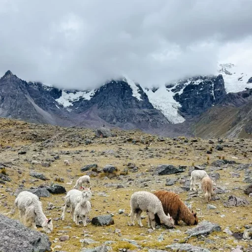 Magical Peru 🇵🇪